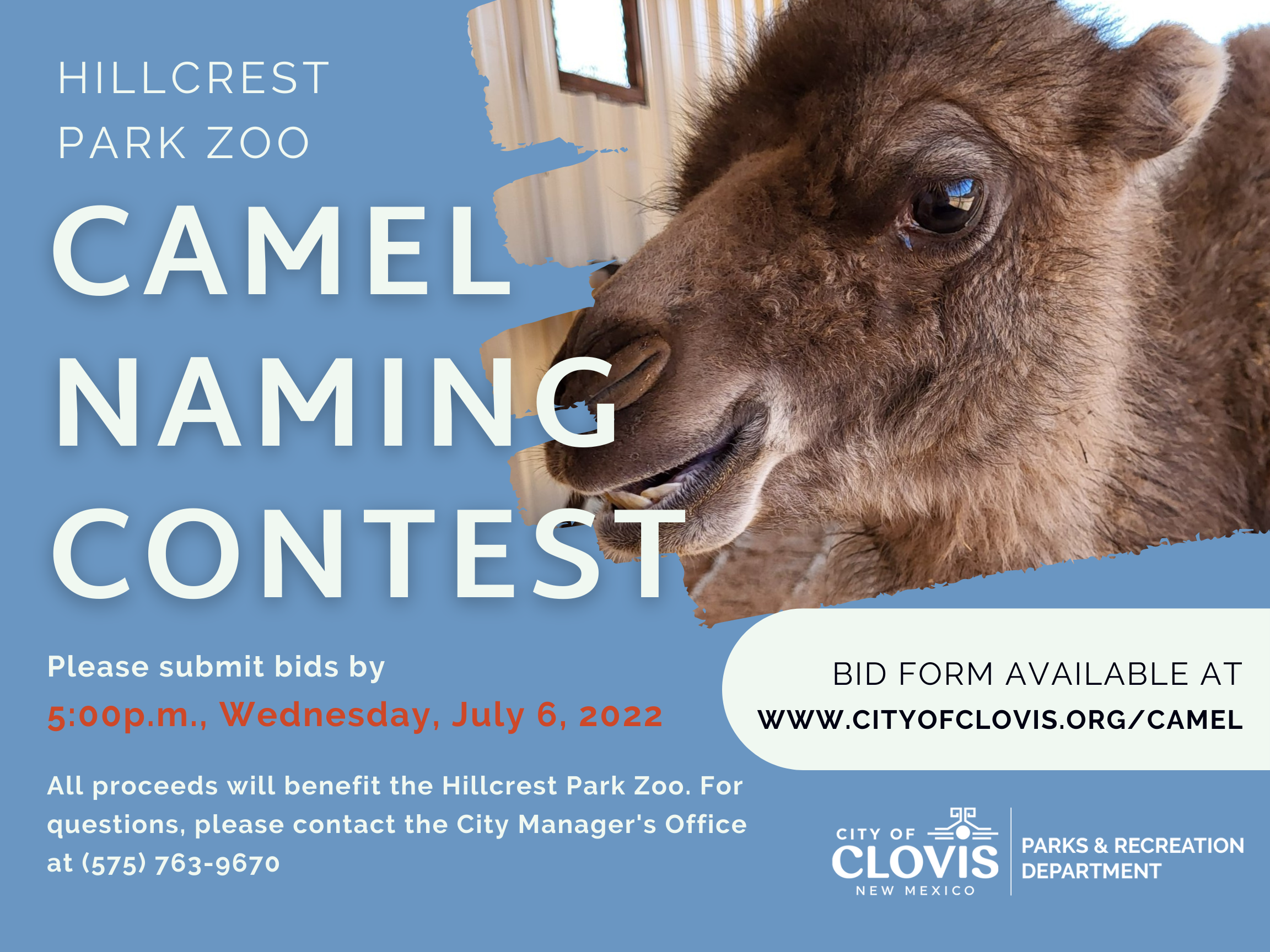 Camel Naming Contest 1