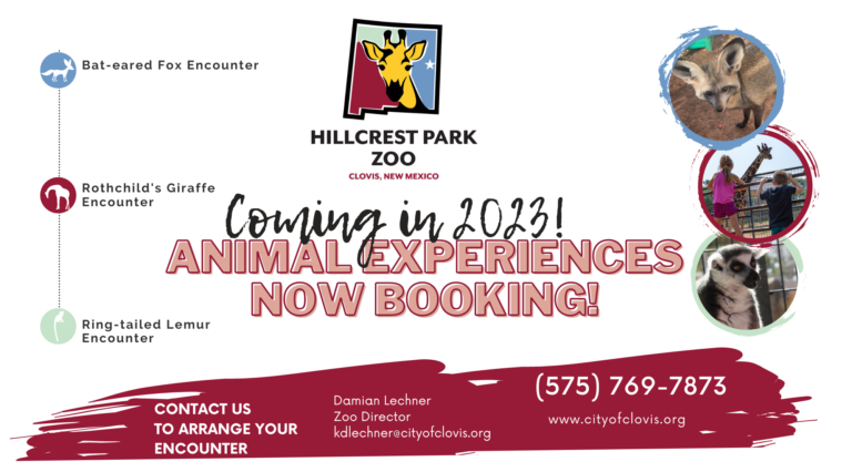 Copy of HIllcrest Zoo Animal Experience Flyer