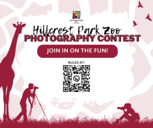 Hillcrest Park Zoo Photography Contest