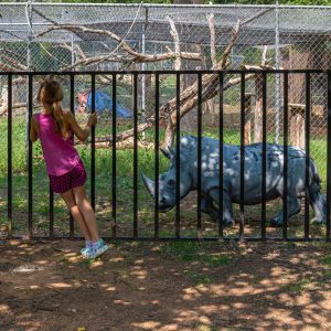 Clovis Hillcrest Park Zoo 8 21 dm 4